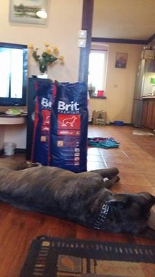 Dary od Was dla naszych podopiecznych